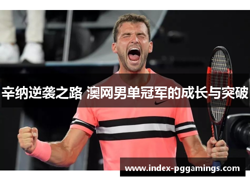 辛纳逆袭之路 澳网男单冠军的成长与突破