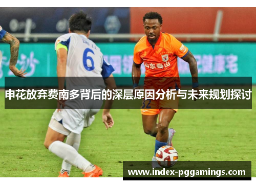 申花放弃费南多背后的深层原因分析与未来规划探讨