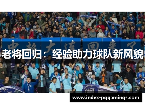 老将回归：经验助力球队新风貌